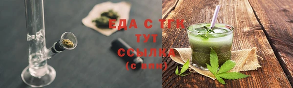 индика Железноводск